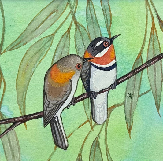 Western Spinebill Duo - Olive 2026