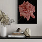 Rose II