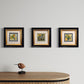 New Holland Honeyeater A