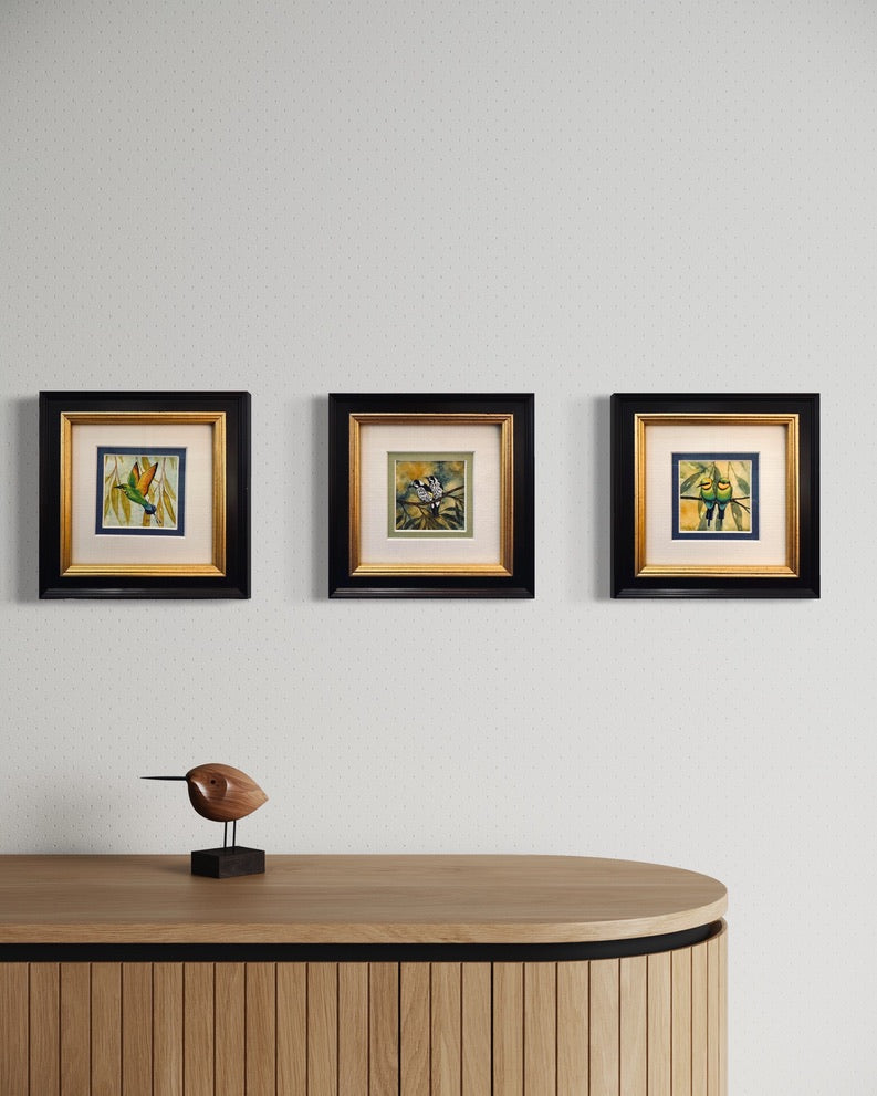 Three Kingfishers - Winter 2025