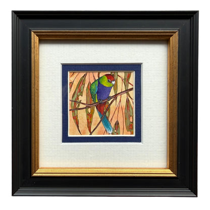 Red Capped Parrot - Navy, Spring 2026