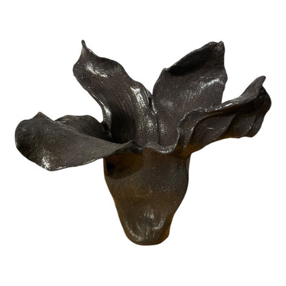 Black Large Vase - Seed Collection