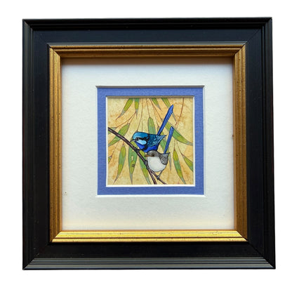 Splendid Fairy Wren Duo 2026