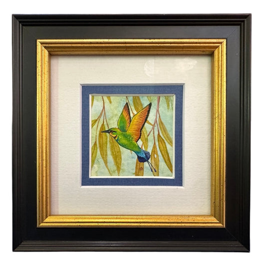 Rainbow Bee Eater A