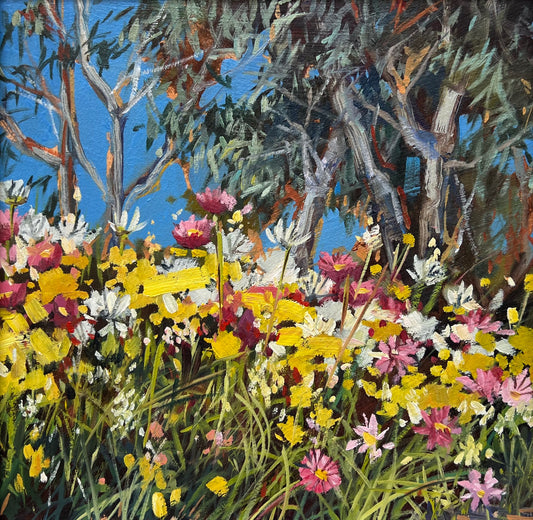 Kings Park Springtime