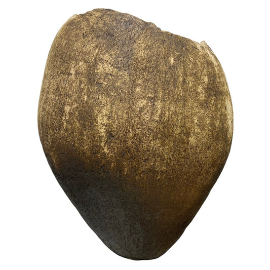 POT 19