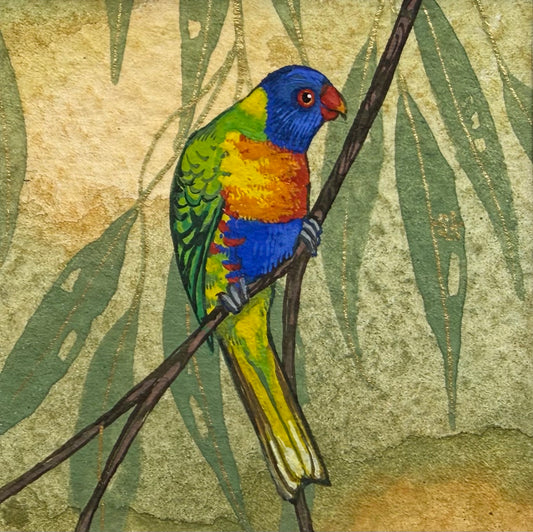 Rainbow Lorikeet - Light Blue 2026