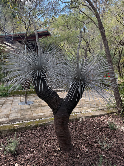 Grass Tree XIX
