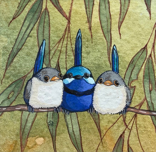 Splendid Fairy Wren Trio - Light Blue 2026