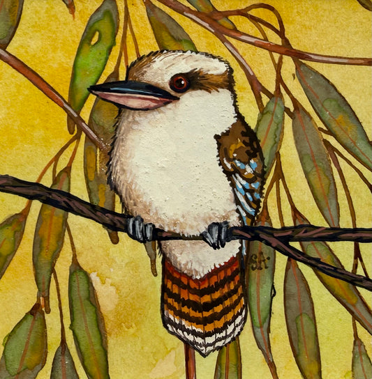 Kookaburra - Soft Green 2026