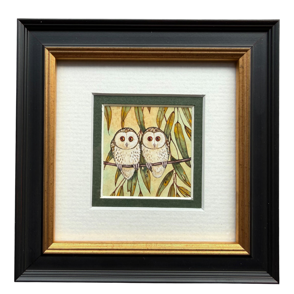 Barn Owl Duo - Forest Green, Spring 2026