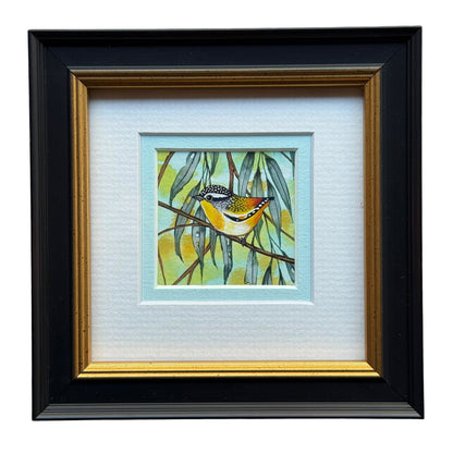 Spotted Pardalote - Sky Blue 2026