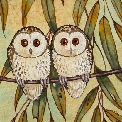Barn Owl Duo - Forest Green, Spring 2026