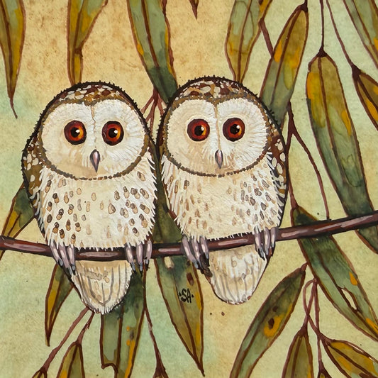 Barn Owl Duo - Forest Green, Spring 2026