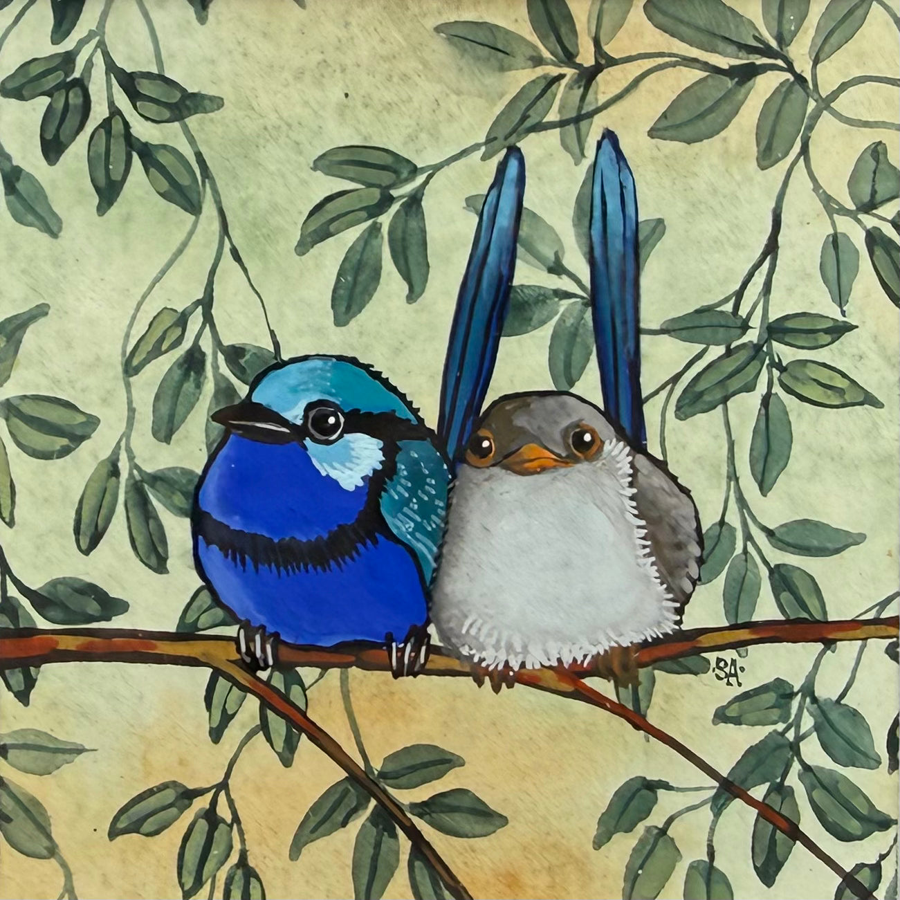 Splendid Fairy Wren Duo - Blue, Spring 2026