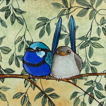 Splendid Fairy Wren Duo - Blue, Spring 2026