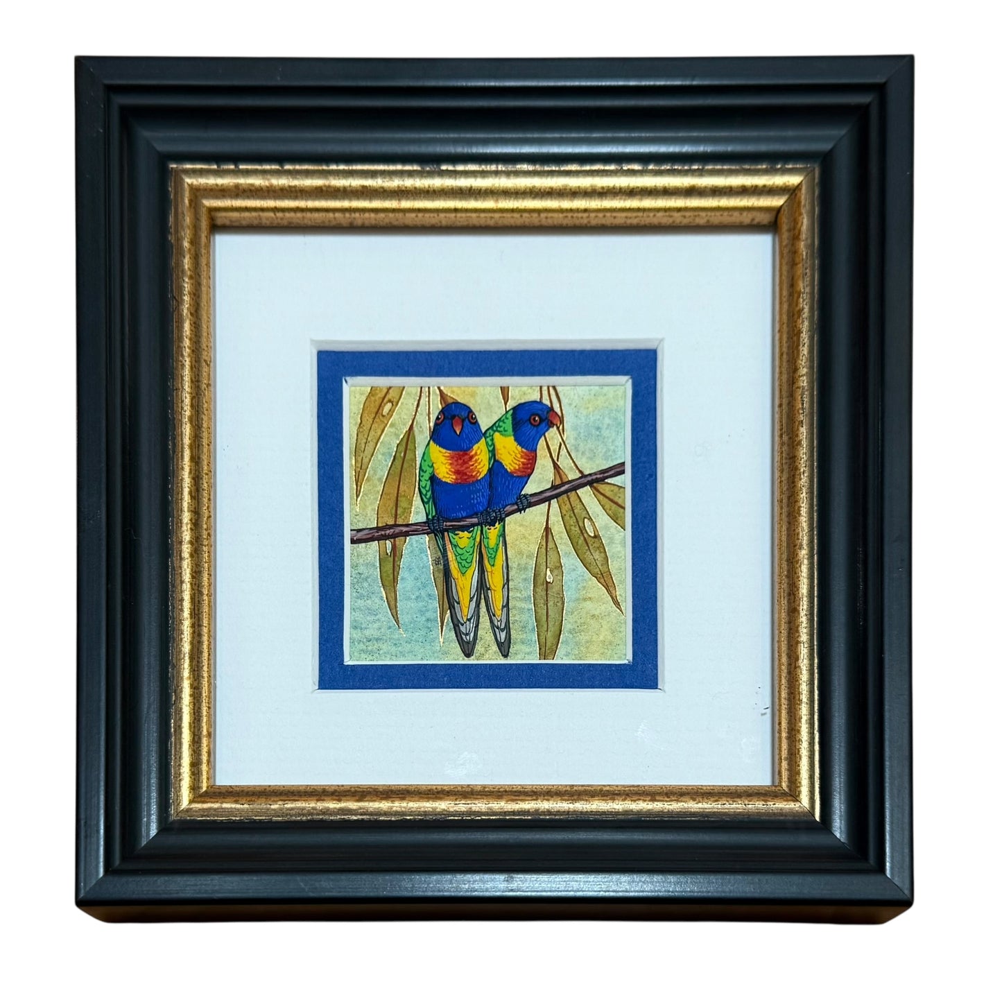 Rainbow Lorikeets - Winter 2025