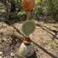 Seed Pod Totem III