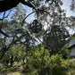 Worlds in Orbit III