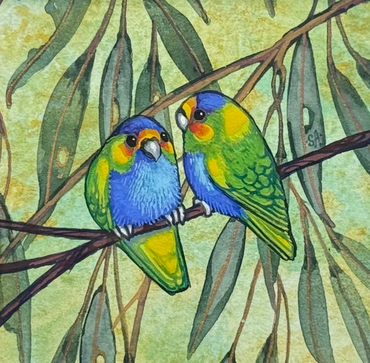 Purple Crowned Lorikeet - Navy 2026