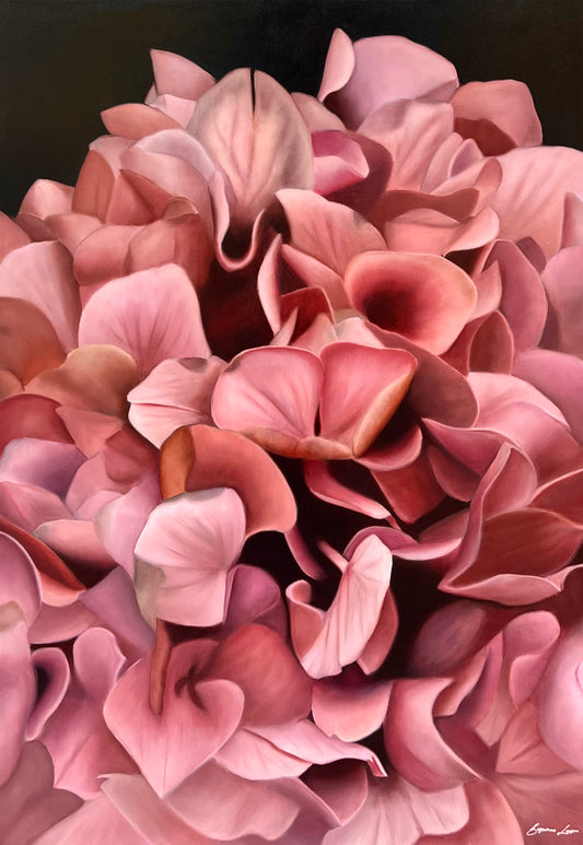 Blush Hydrangea