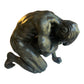 Virtus