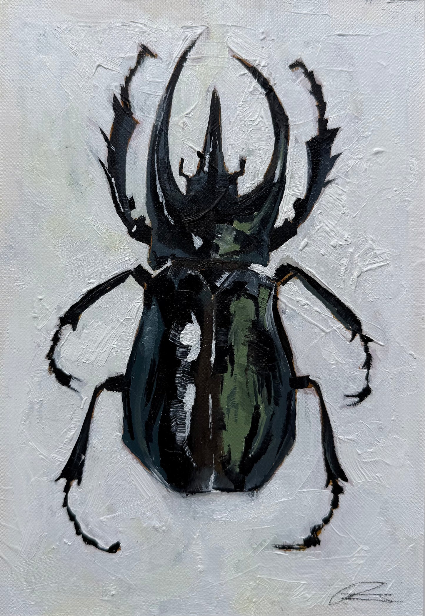 Stag Beetle