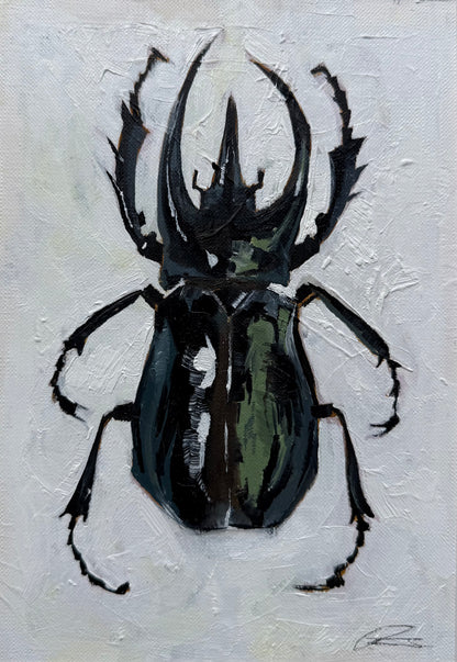Stag Beetle