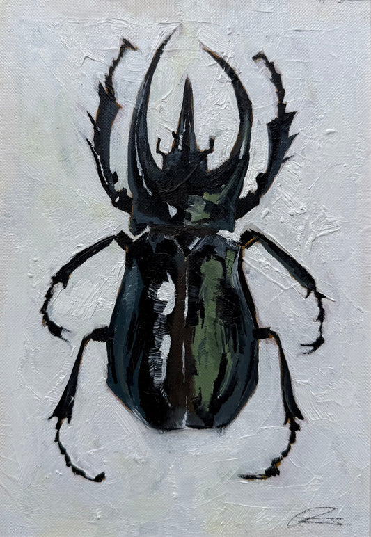 Stag Beetle