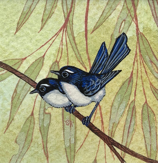 Willy Wagtail Duo - Navy Blue 2026