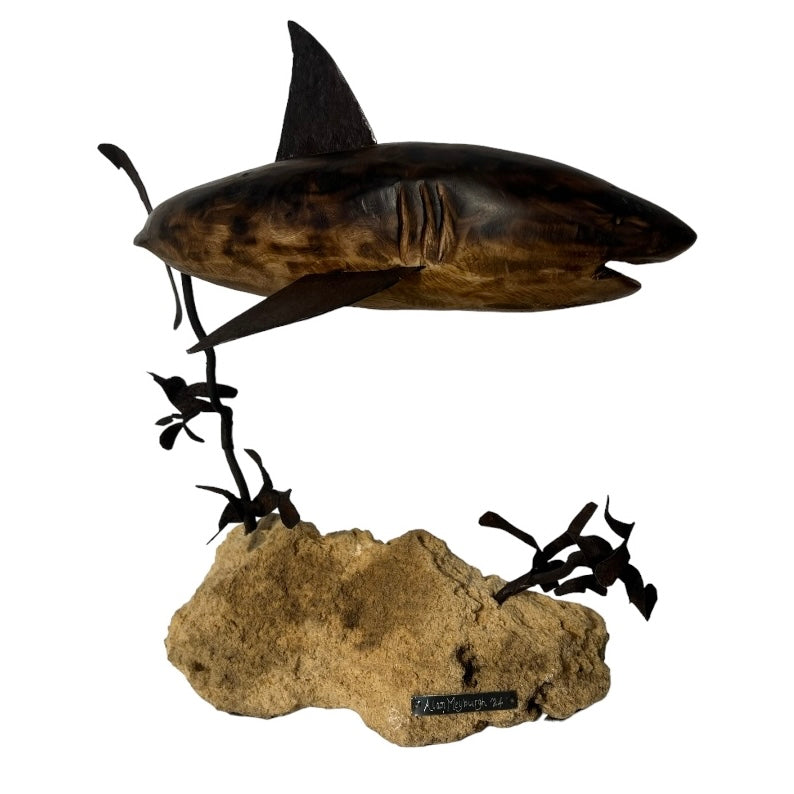 Predator Protect Us