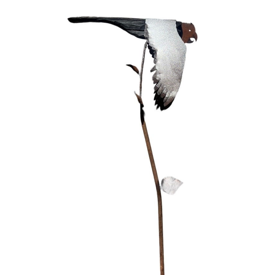 Goliath Cockatoo on the Move Series