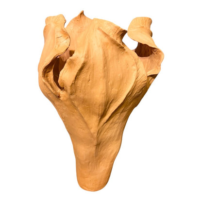 Terracotta Large Vase - Seed Collection