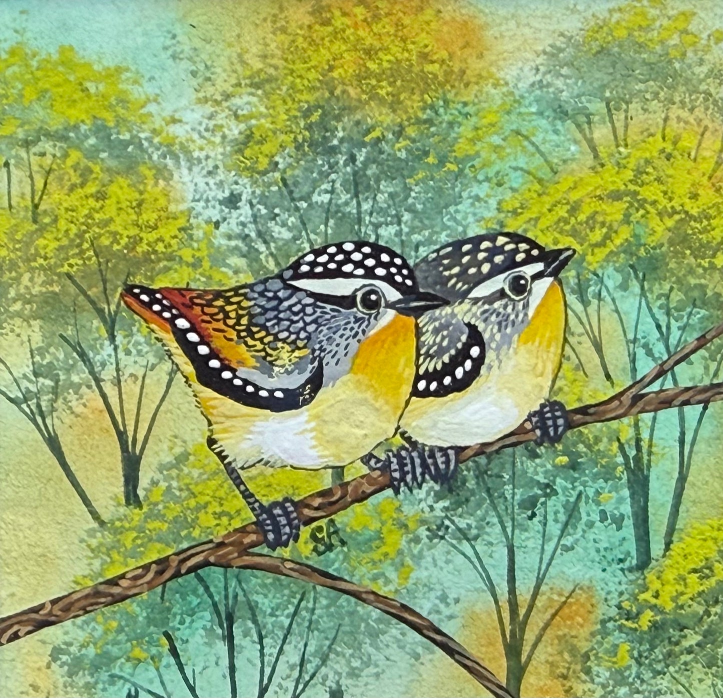 Spotted Pardalote Duo - Soft Green 2026