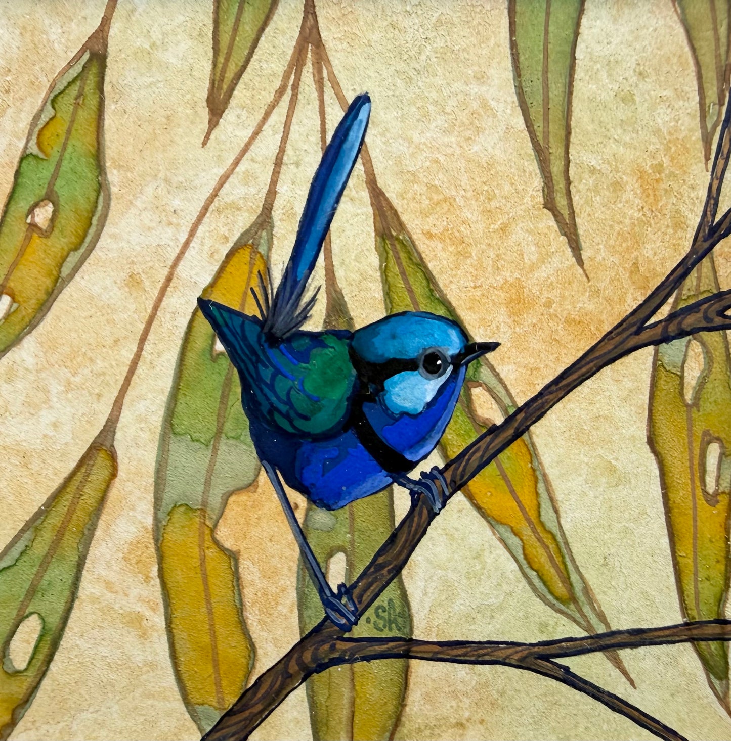 Splendid Fairy Wren II Autumn 2027
