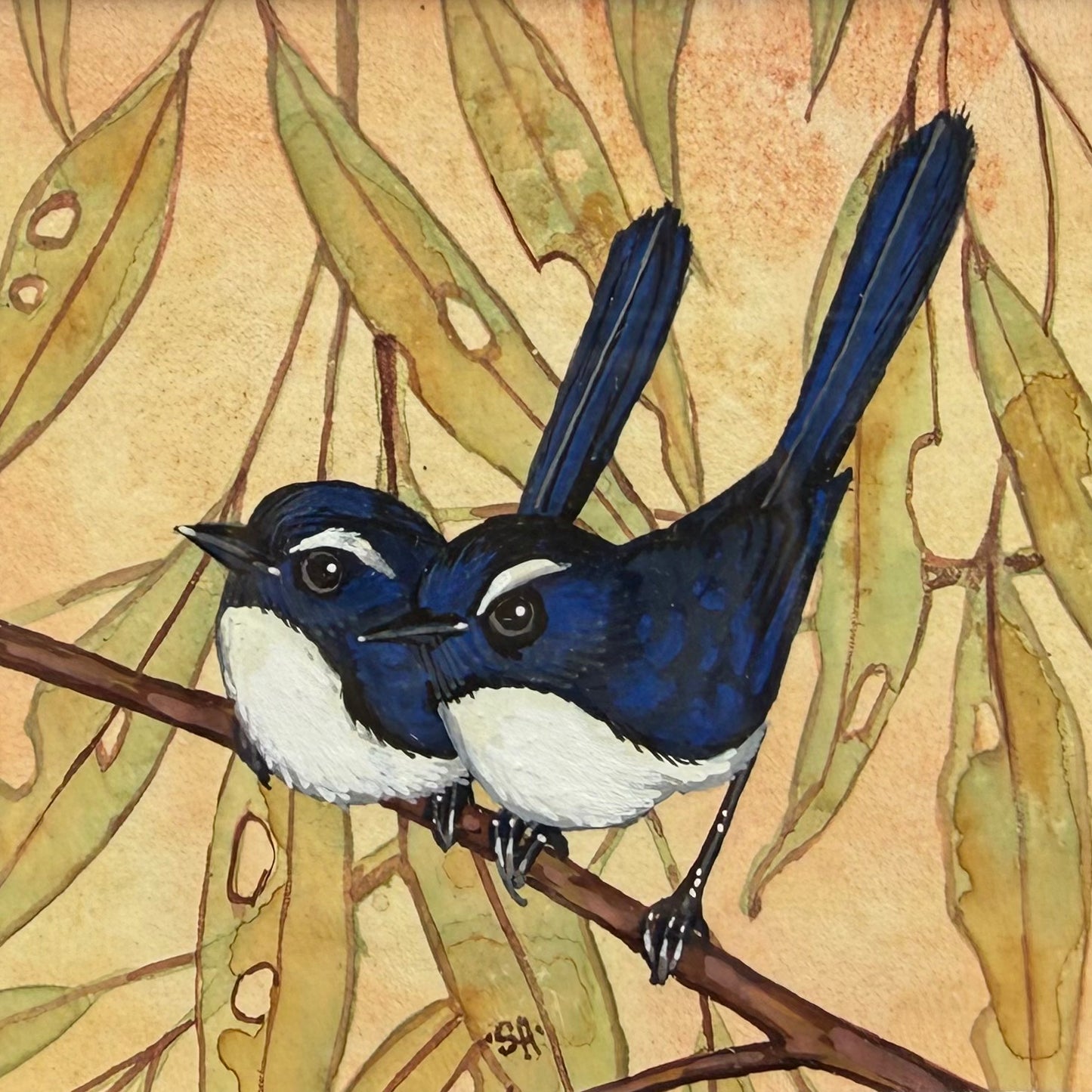 Willy Wag Tail Duo - Navy, Spring 2026