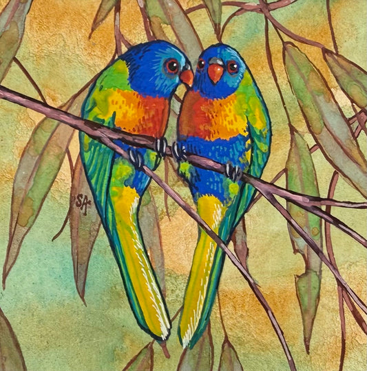 Rainbow Lorikeet - Navy 2026