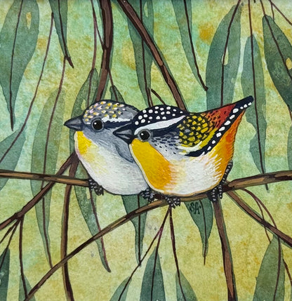Spotted Pardalote Duo - Burgandy 2026