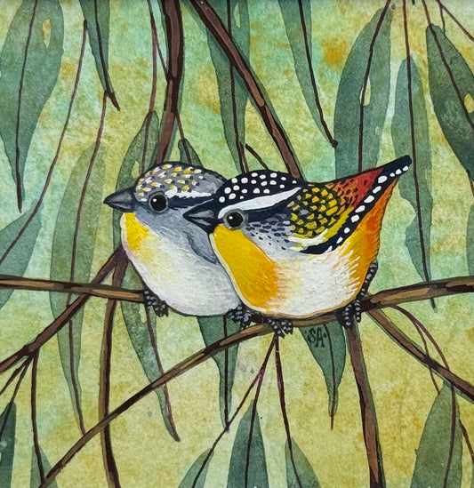 Spotted Pardalote Duo - Burgandy 2026