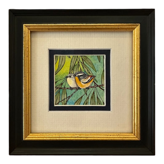 Spotted Pardalote - Dark Green 2026