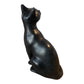 Sitting Cat