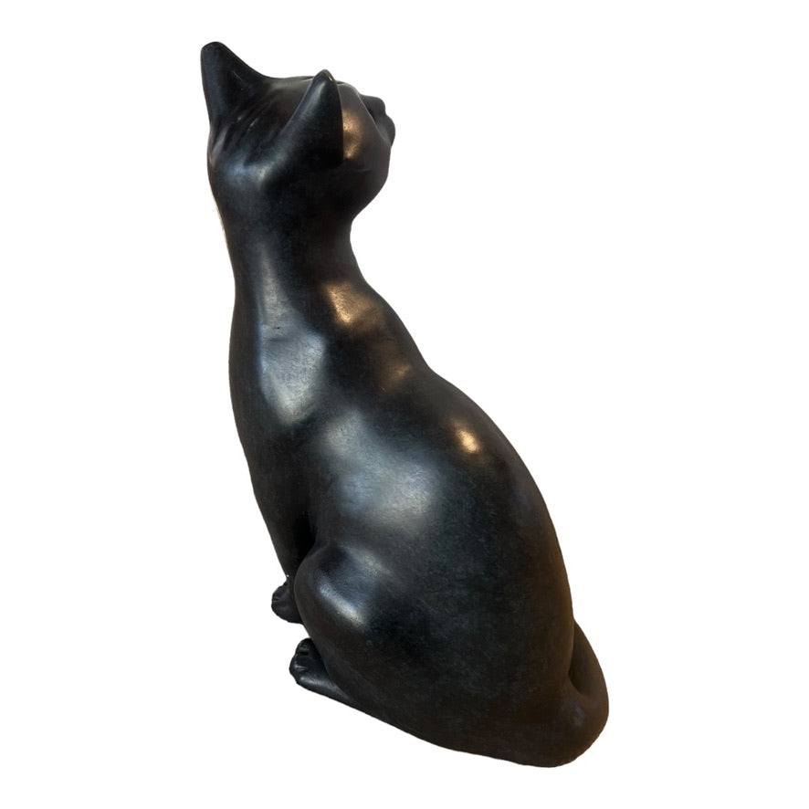 Sitting Cat