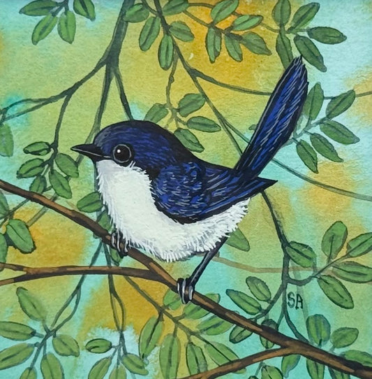 Willy Wagtail - Navy Winter 2026