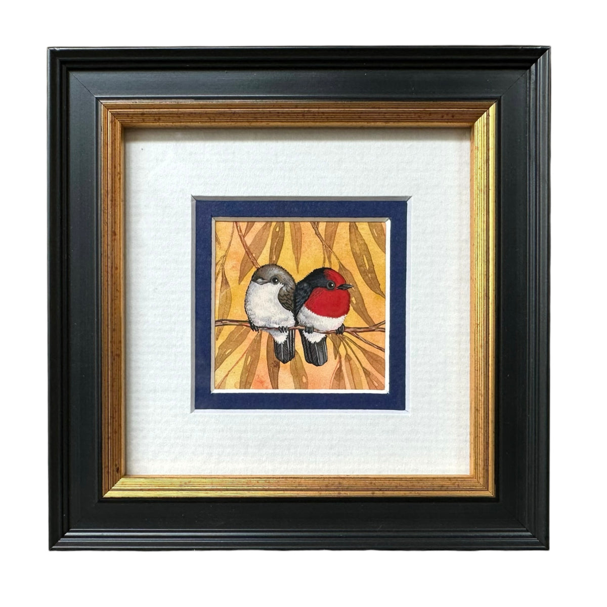 2 Red Capped Robin, Spring 2026