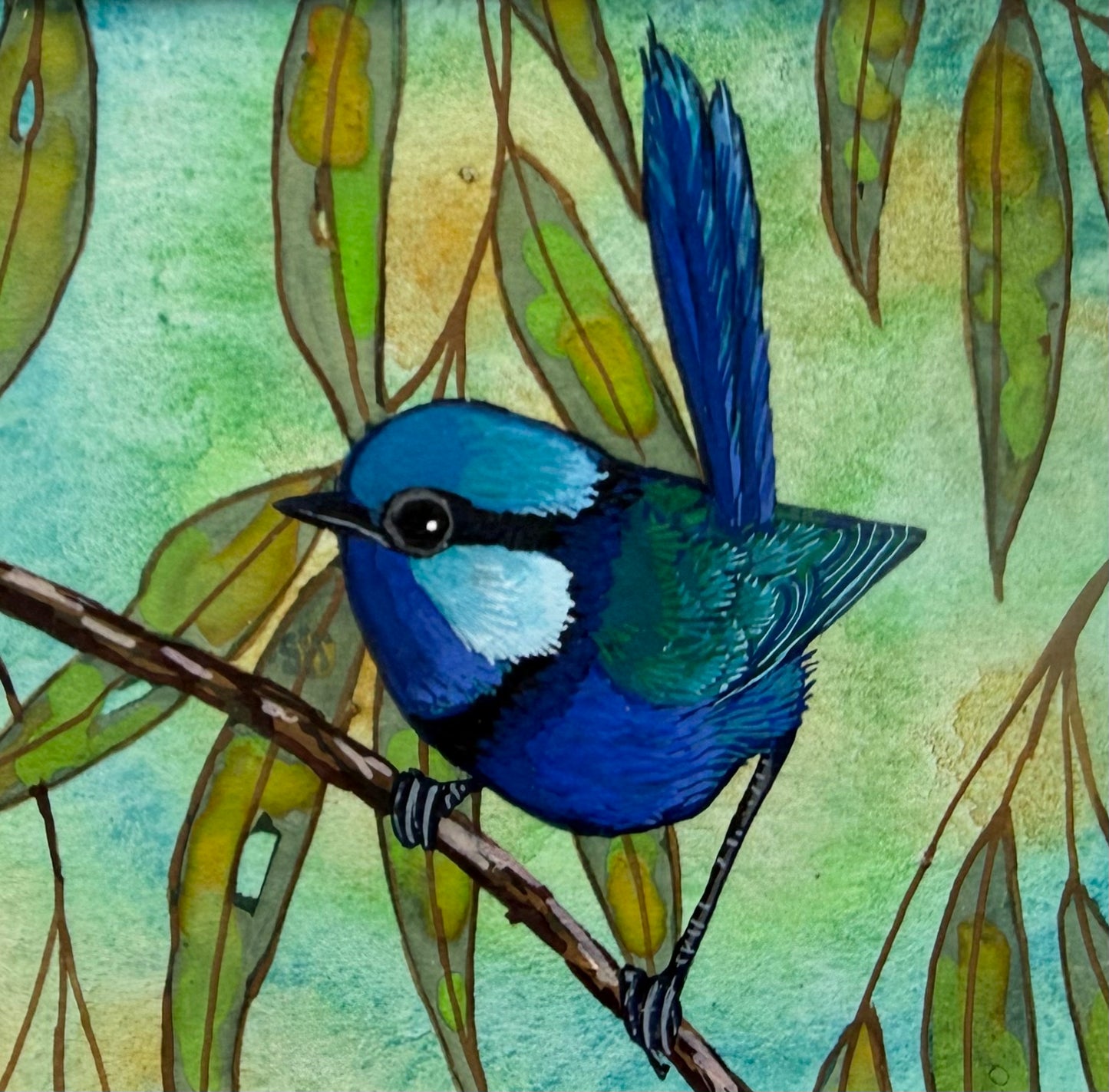 Splendid Fairy Wren Single - Navy 2027