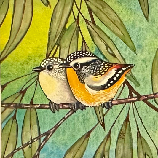 Spotted Pardalote - Dark Green 2026