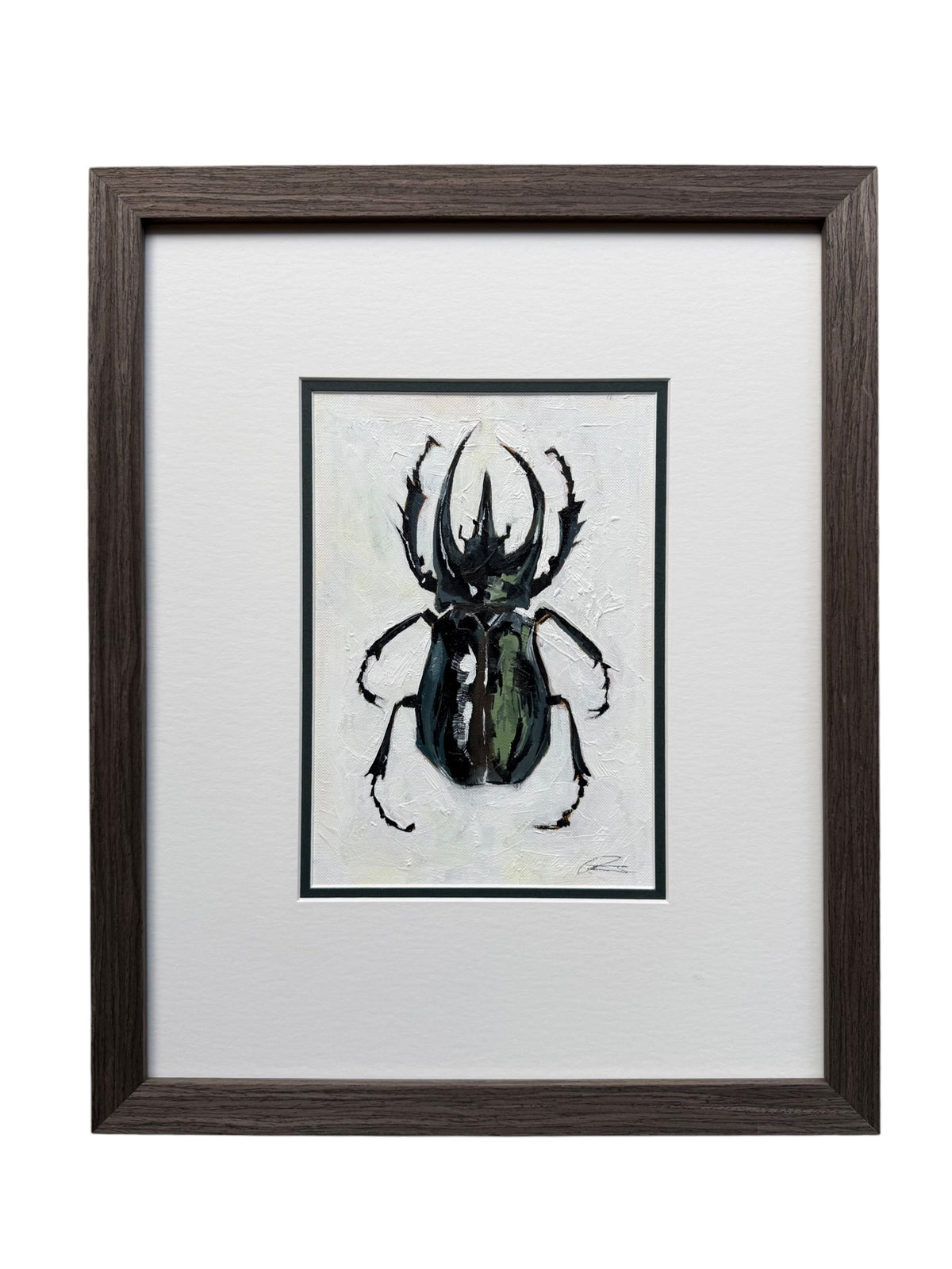 Stag Beetle