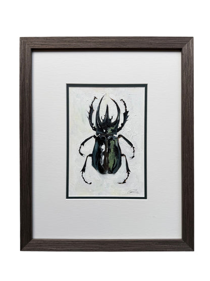 Stag Beetle