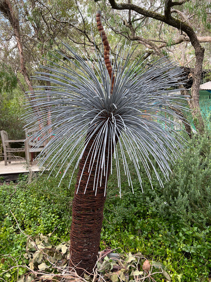 Grass Tree Sculpture - Single Large
