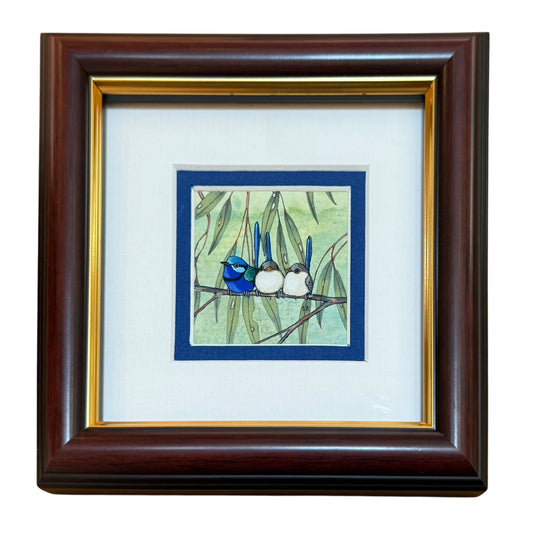 Splendid Fairy Wren Trio - Winter 2025